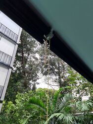 Hijauan (D9), Apartment #555793741